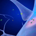 How does delta 9 thc affect the brain?