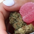Are there any differences in how delta-9-thc affects people with different levels of experience with cannabis differently?
