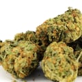What percentage of thc is delta 9?