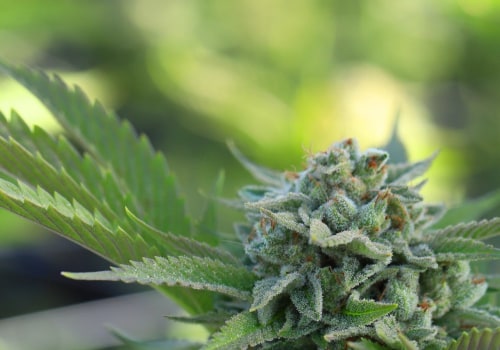 What are the medical benefits of delta 9 thc?