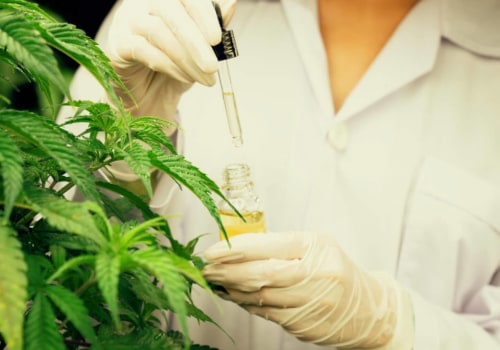 How is delta 9 thc metabolized in the body?