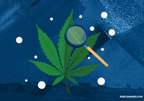 Are there any differences in how delta-9-thc affects people with different medical conditions differently?